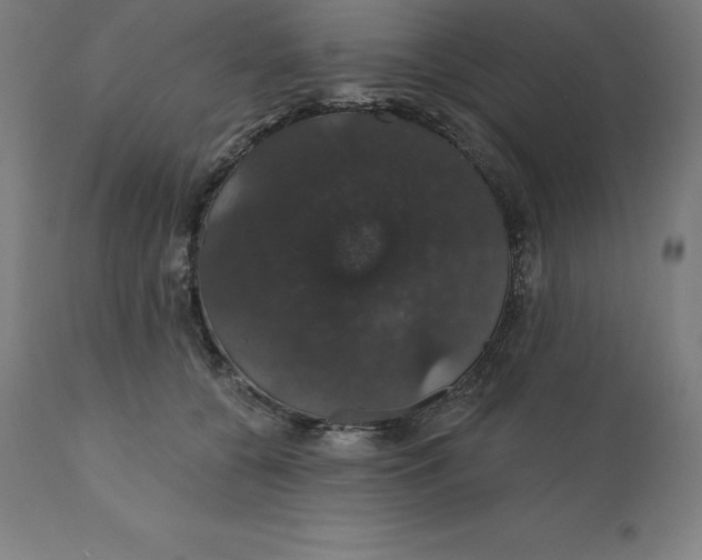 X0000110700560200907022000