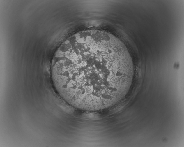 X0000110700561200907022000