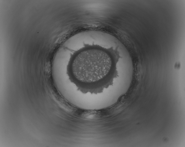 X0000110700563200907022000