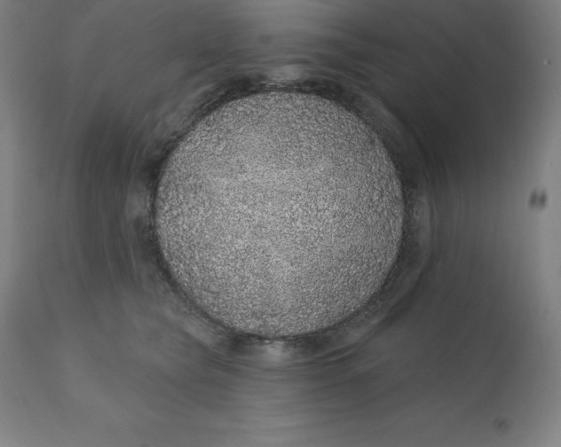X0000110700565200907022000