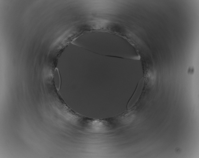 X0000110700566200907022000