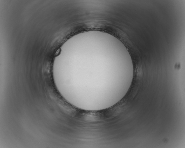X0000110700567200907022000