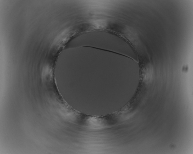 X0000110700568200907022000