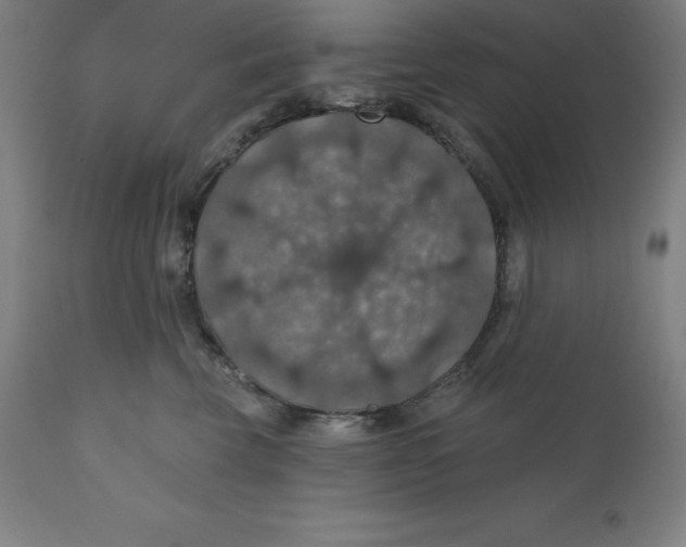 X0000110700569200907022000