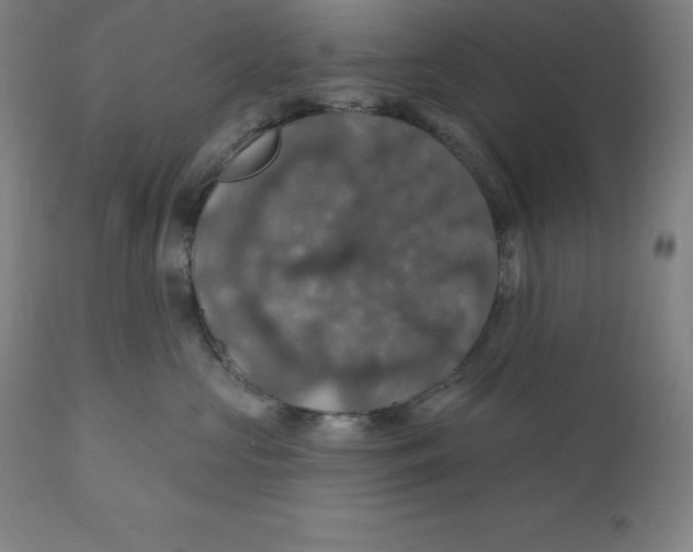 X0000110700573200907022000