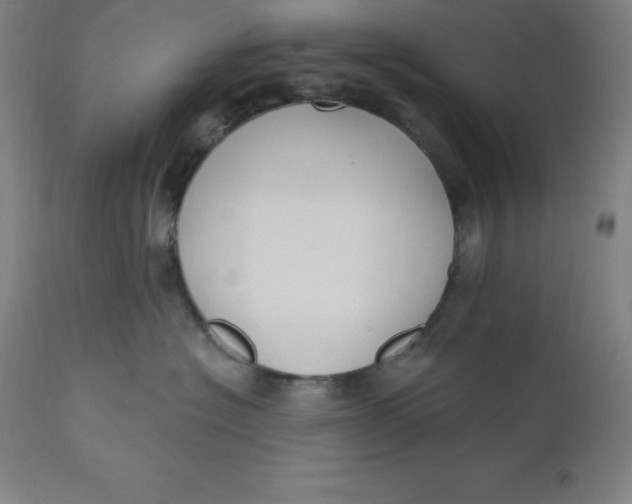 X0000110700574200907022000