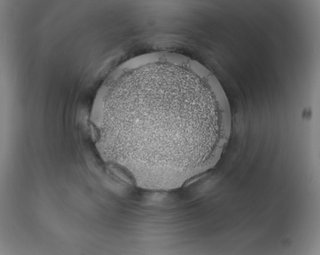 X0000110700575200907022000