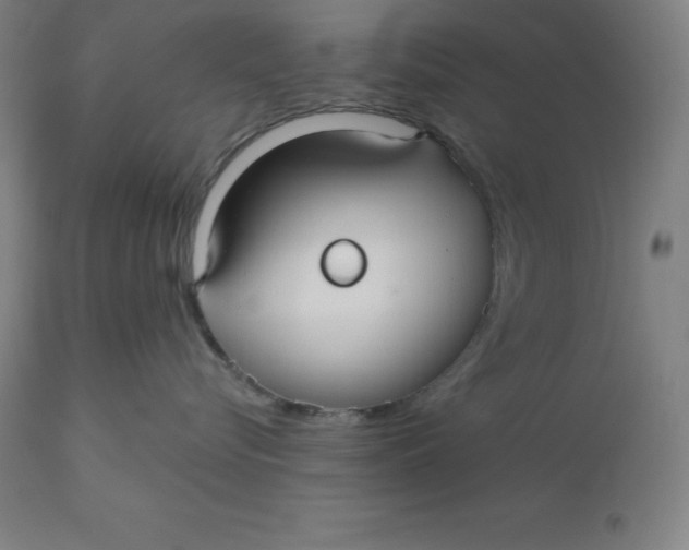 X0000110700576200907022000