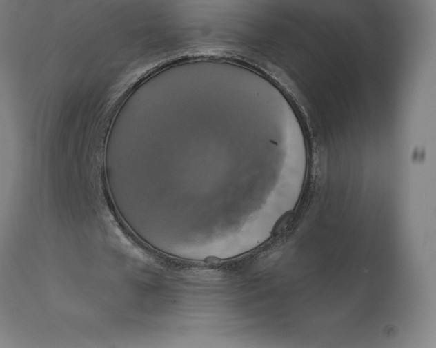 X0000110700577200907021959