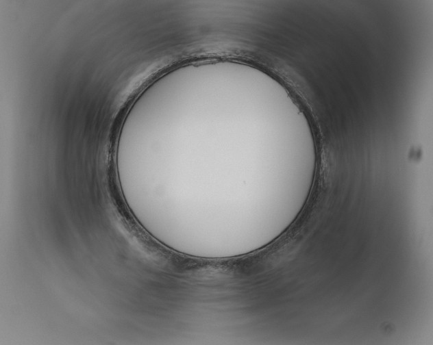 X0000110700578200907021959