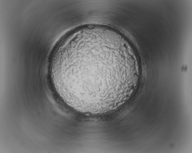 X0000110700580200907021959