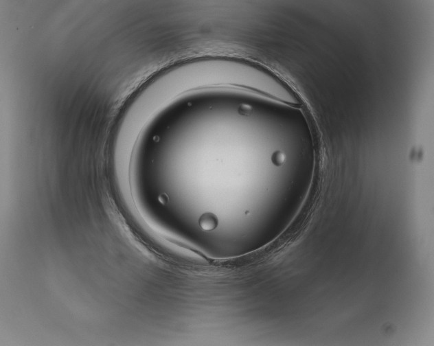 X0000110700581200907021959
