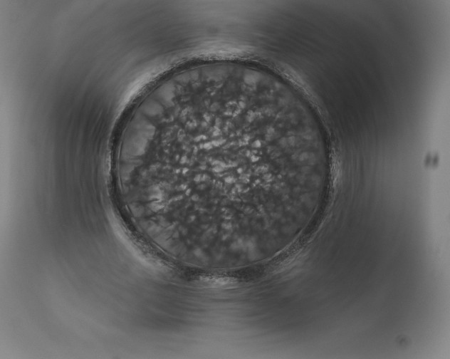 X0000110700582200907021959