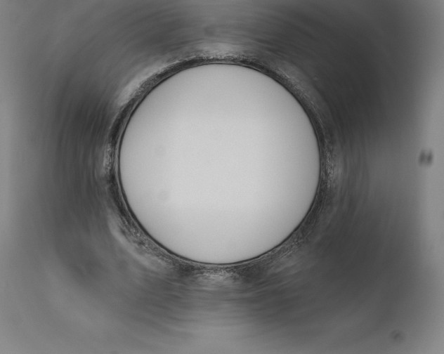 X0000110700583200907021959