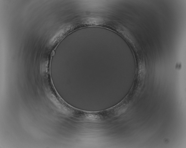 X0000110700585200907021959