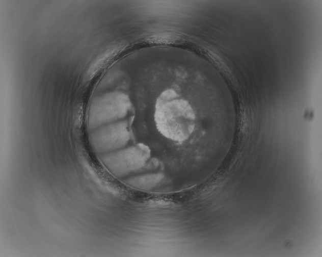 X0000110700586200907021959