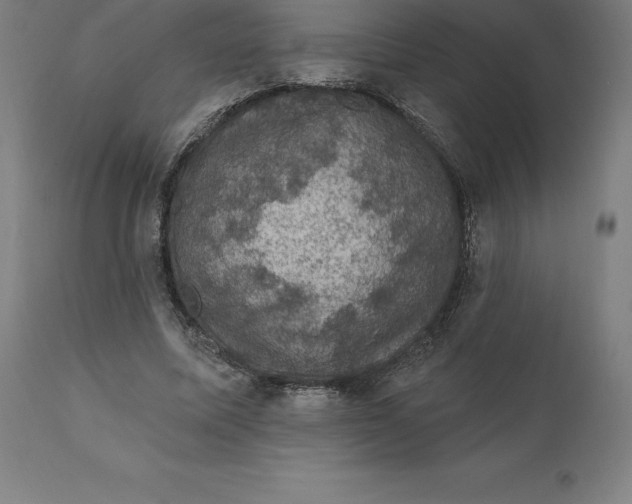 X0000110700587200907021959