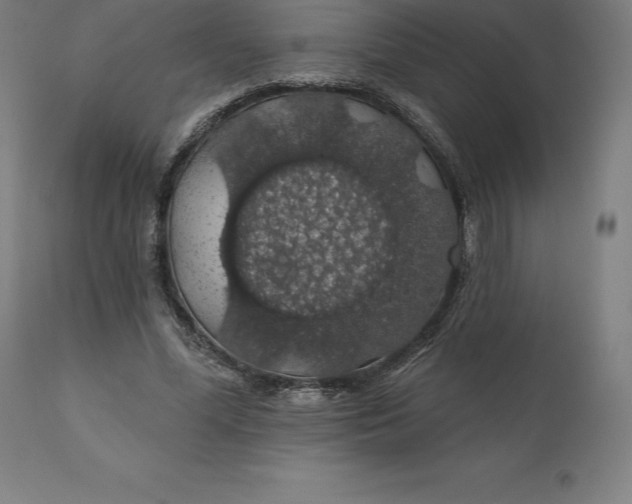 X0000110700588200907021959