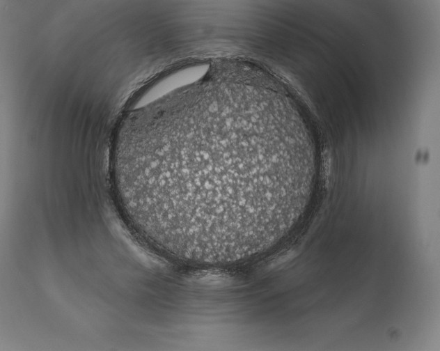 X0000110700589200907021959