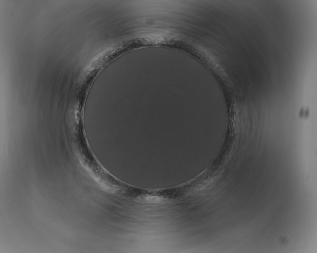 X0000110700590200907021959