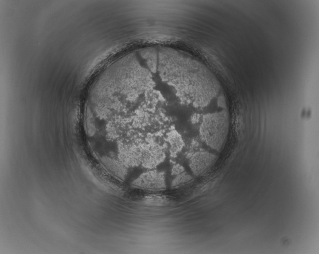 X0000110700591200907021959
