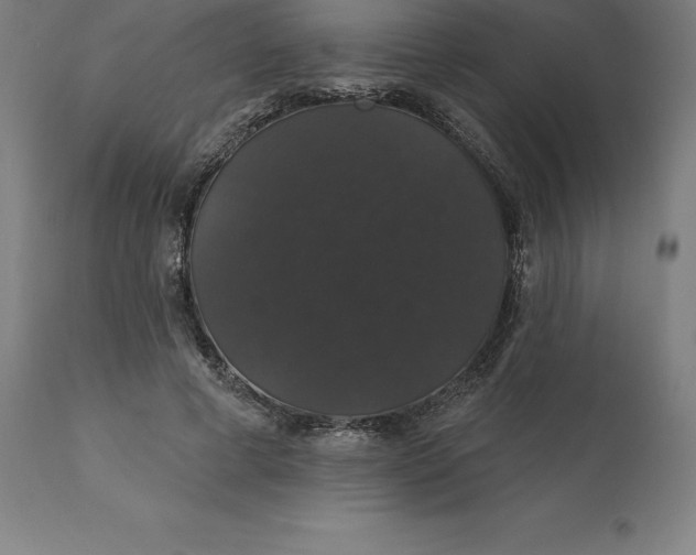 X0000110700593200907021959