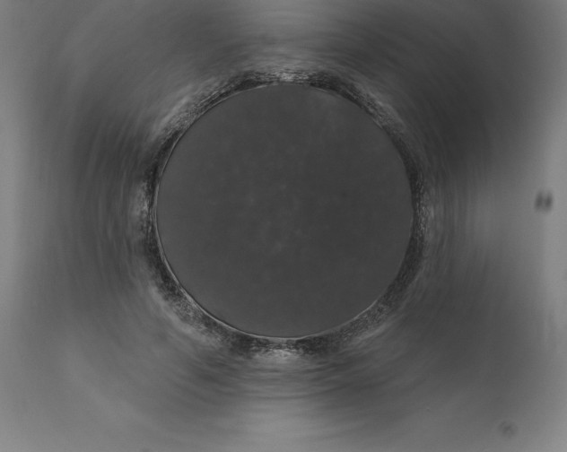 X0000110700594200907021959