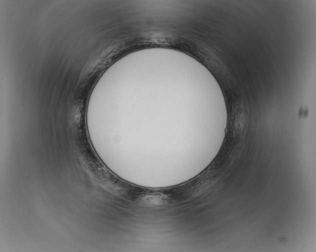 X0000110700595200907021959