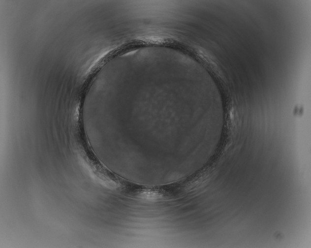 X0000110700596200907021959