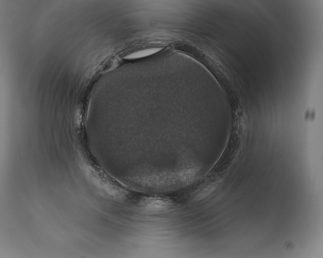 X0000110700597200907021959