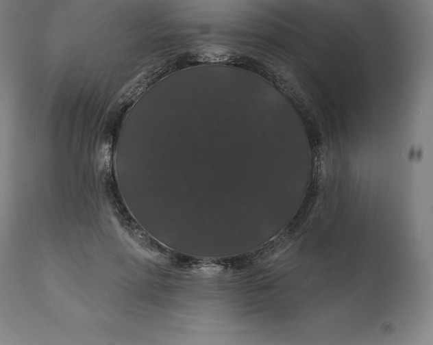 X0000110700598200907021959