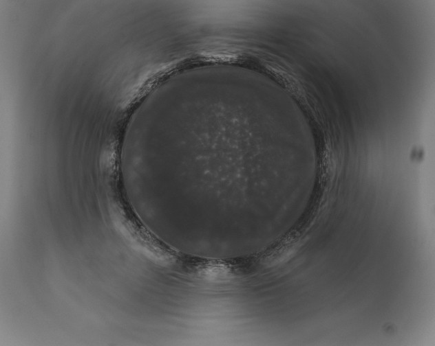 X0000110700600200907021959