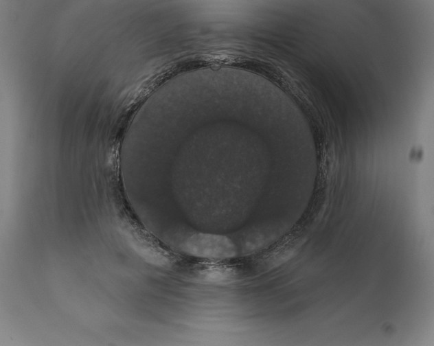 X0000110700601200907021959