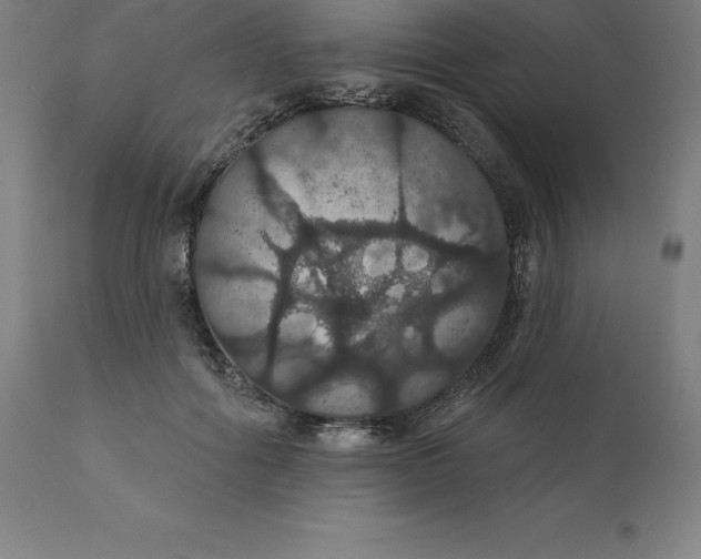 X0000110700602200907021959