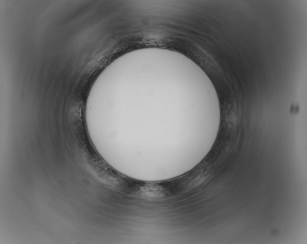 X0000110700603200907021959