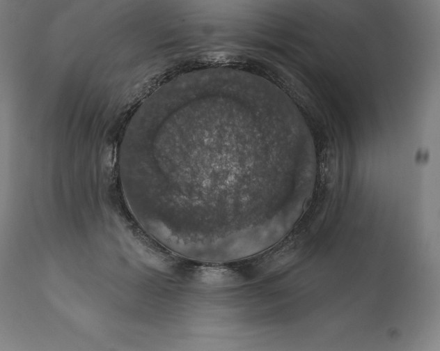 X0000110700605200907021959
