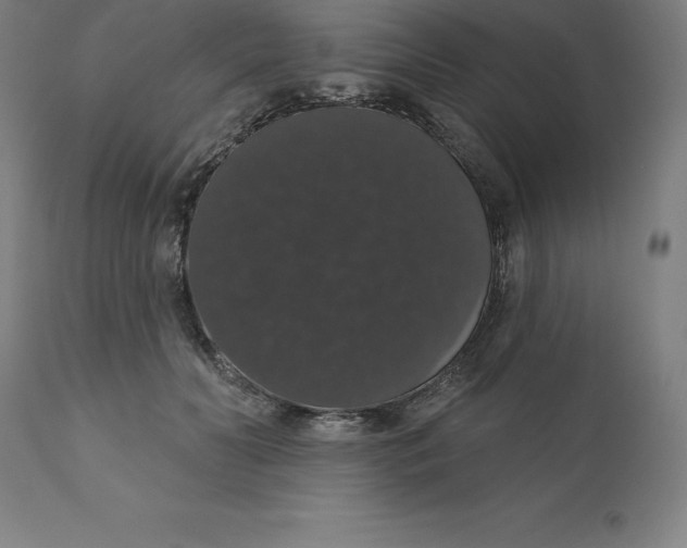 X0000110700606200907021959