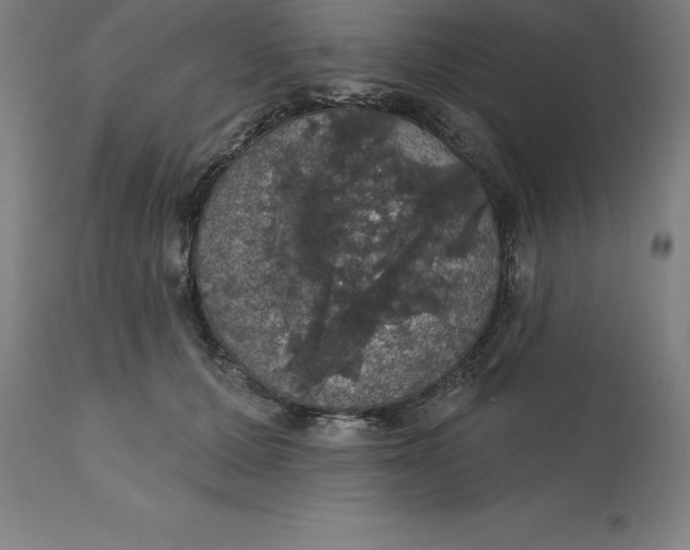 X0000110700607200907021959