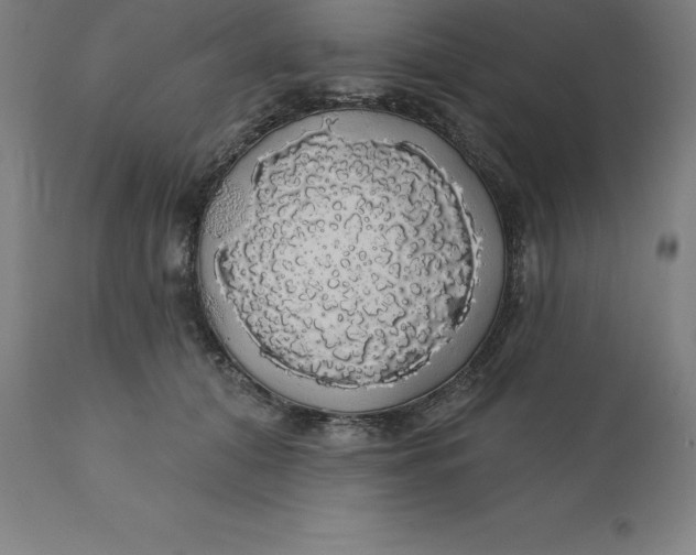 X0000110700608200907021959
