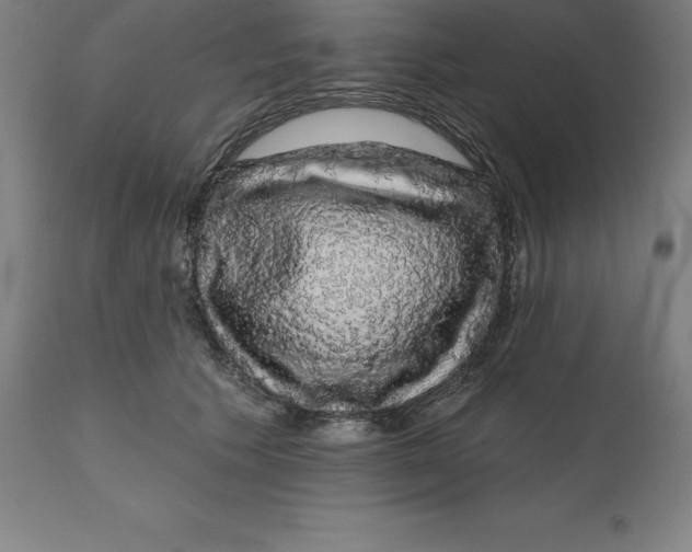 X0000110700609200907021959
