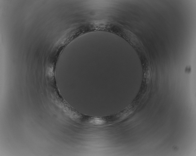 X0000110700610200907021959