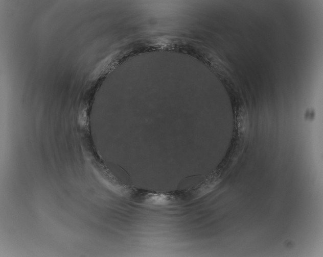 X0000110700611200907021959
