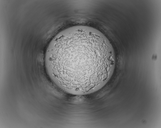 X0000110700612200907021959