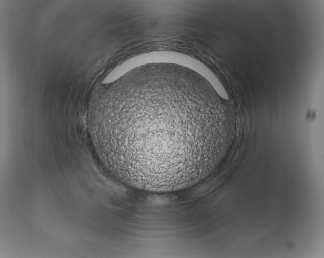 X0000110700613200907021959