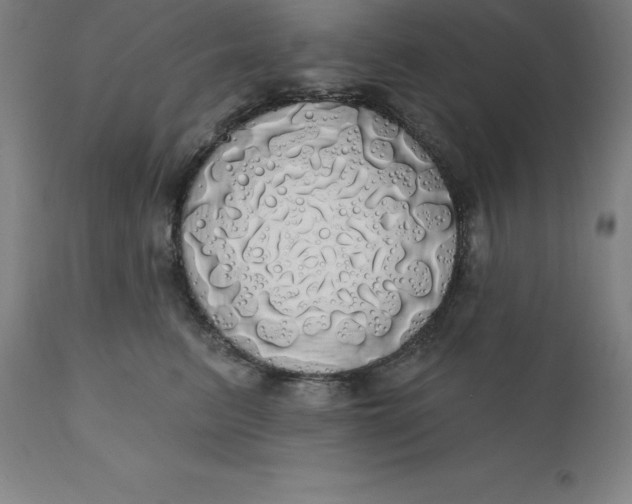 X0000110700615200907021959
