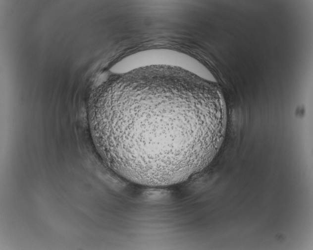 X0000110700617200907021959