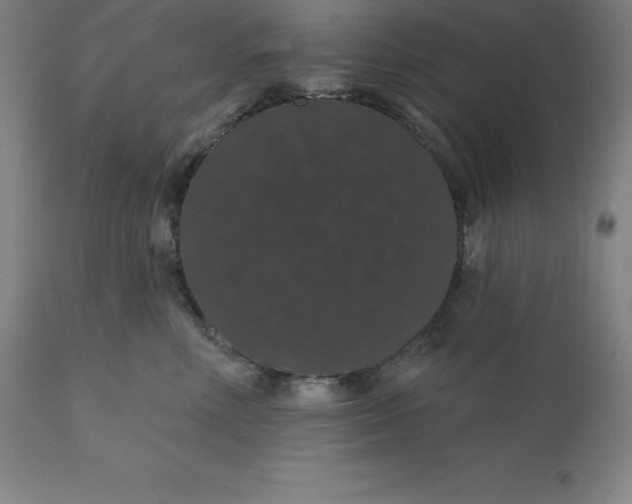 X0000110700618200907021959