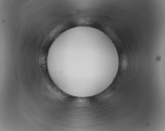 X0000110700619200907021959