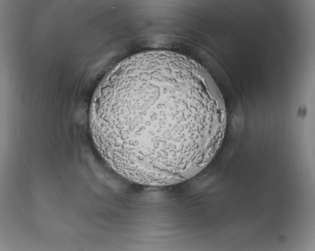 X0000110700620200907021959