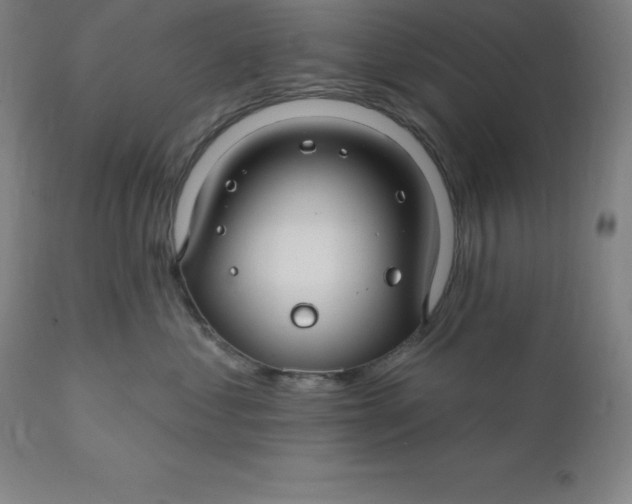 X0000110700621200907021959